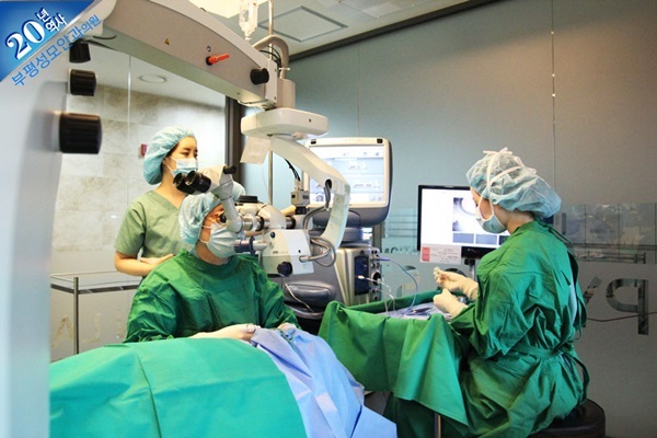 https://www.inlasik.co.kr/main/data/file/press/2015112017182754.jpg